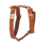 Harnais pour chien