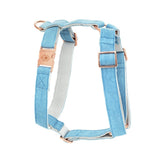 Harnais pour chien