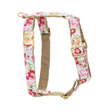 Harnais pour chien
