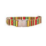 Collier chien Idoggos