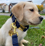 Collier chien Idoggos