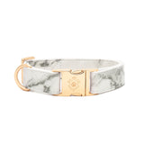 Collier chien Idoggos