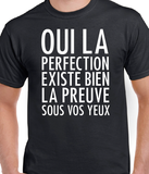 T-Shirt pour Homme perfection humour
