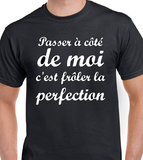 T-Shirt Vneck pour femme perfection humour