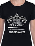 Hoodie unisex enseignante fr qc