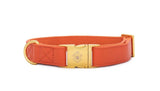 Collier chien Idoggos