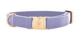 Collier chien Idoggos
