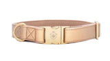 Collier chien Idoggos