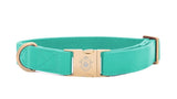 Collier chien Idoggos