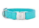 Collier chien Idoggos