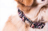 Collier chien Idoggos