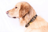 Collier chien Idoggos