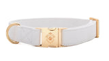 Collier chien Idoggos