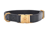 Collier chien Idoggos