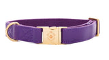 Collier chien Idoggos
