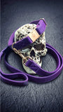 Collier chien Idoggos
