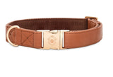Collier chien Idoggos