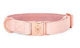Collier chien Idoggos