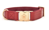 Collier chien Idoggos