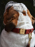 Collier chien Idoggos
