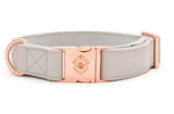 Collier chien Idoggos