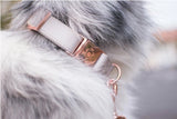Collier chien Idoggos