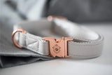 Collier chien Idoggos