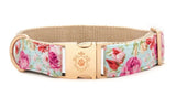 Collier chien Idoggos