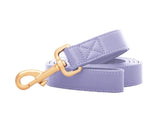 Laisse pour chien