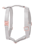 Harnais pour chien