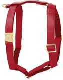 Harnais pour chien