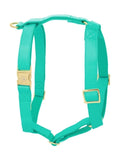 Harnais pour chien