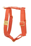 Harnais pour chien