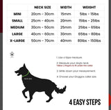 Collier chien Idoggos