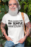 T-Shirt Vneck pour femme temple humour