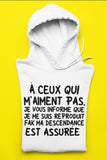 T-Shirt Vneck pour femme je me suis reproduit humour