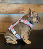 Harnais pour chien